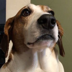 Meet your Posher, Garrett